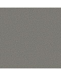 Shaw TWEED COMFORT I First Class Carpet - SH-5E661-00370