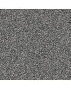 Shaw TWEED COMFORT I Carolina Carpet - SH-5E661-00470