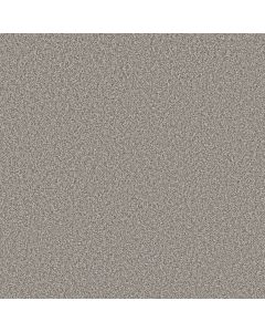 Shaw TWEED COMFORT I Make A Splash Carpet - SH-5E661-00571