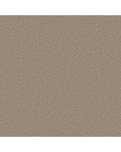 Shaw TWEED COMFORT BLUE Honeymoon Carpet - SH-5E663-00174