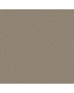 Shaw TWEED COMFORT BLUE Outer Banks Carpet - SH-5E663-00176