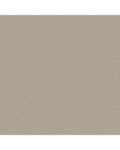 Shaw WELL MADE Ecru Carpet - SH-5E667-00103