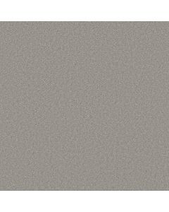 Shaw WELL MADE Sheer Silver Carpet - SH-5E667-00500