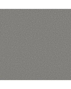 Shaw WELL MADE Nickel Carpet - SH-5E667-00502
