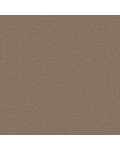 Shaw WELL MADE Pebble Creek Carpet - SH-5E667-00701