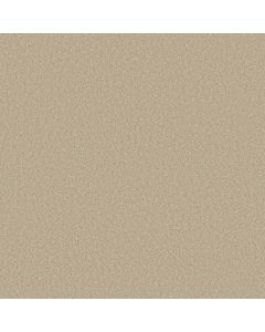 Shaw WAY TO GO I Warm Breeze Carpet - SH-5E668-00102