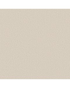 Shaw WAY TO GO I Antique Ivory Carpet - SH-5E668-00108