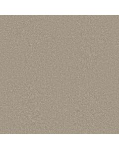 Shaw WAY TO GO I Desert Khaki Carpet - SH-5E668-00111