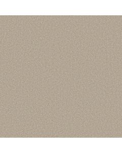 Shaw WAY TO GO I Adobe Sand Carpet - SH-5E668-00112