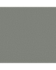Shaw WAY TO GO I Dolphin Fin Carpet - SH-5E668-00400