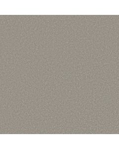 Shaw WAY TO GO I Taupe Tone Carpet - SH-5E668-00500