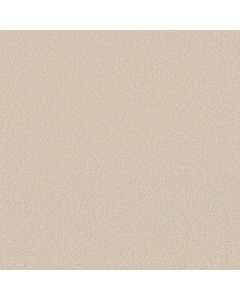 Shaw WAY TO GO II Soft Landing Carpet - SH-5E669-00101