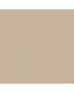 Shaw WAY TO GO II Warm Breeze Carpet - SH-5E669-00102