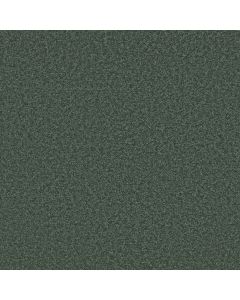Shaw WAY TO GO II Eco Green Carpet - SH-5E669-00310