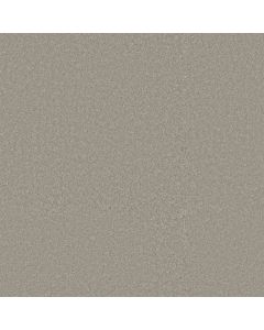 Shaw WAY TO GO II Taupe Tone Carpet - SH-5E669-00500