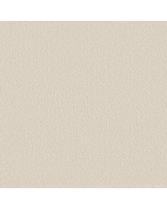 Shaw WAY TO GO III Antique Ivory Carpet - SH-5E670-00108