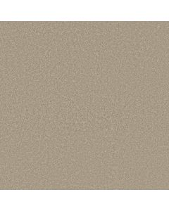 Shaw WAY TO GO III Desert Khaki Carpet - SH-5E670-00111