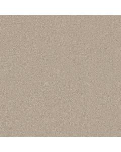Shaw WAY TO GO III Adobe Sand Carpet - SH-5E670-00112