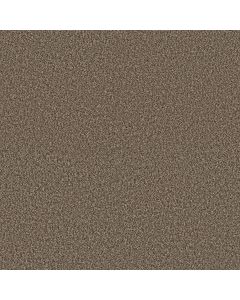Shaw Renewed Energy I Freckles Carpet - SH-5E671-00109