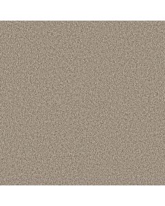 Shaw Renewed Energy I Sandstone Carpet - SH-5E671-00119