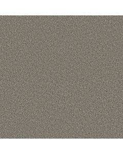 Shaw Renewed Energy I Granite Carpet - SH-5E671-00121