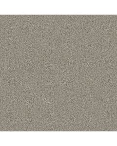 Shaw Renewed Energy I Landscape Carpet - SH-5E671-00125