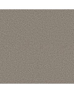Shaw Renewed Energy I Prairie Run Carpet - SH-5E671-00126
