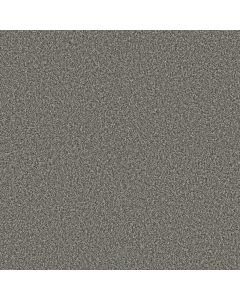 Shaw Renewed Energy I Paris Sky Carpet - SH-5E671-00413