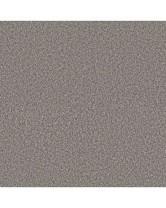 Shaw Renewed Energy I Fog Carpet - SH-5E671-00503