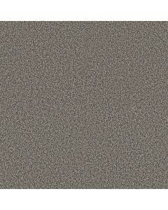 Shaw Renewed Energy I Shadow Carpet - SH-5E671-00504