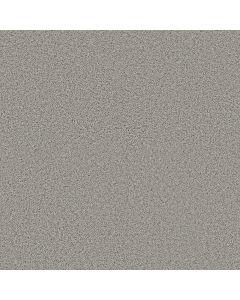Shaw Renewed Energy I Thin Ice Carpet - SH-5E671-00518