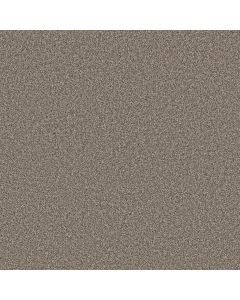 Shaw REMIXED CLASSIC Nutria Carpet - SH-5E679-00102