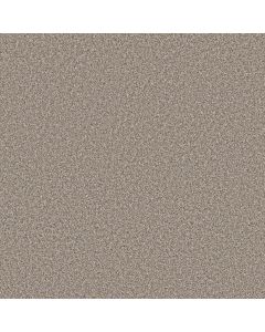 Shaw REMIXED CLASSIC Pebble Carpet - SH-5E679-00115