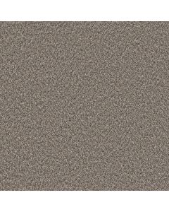 Shaw REMIXED CLASSIC Cobble Drive Carpet - SH-5E679-00121