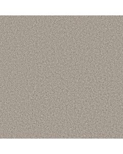 Shaw REMIXED CLASSIC Canoe Carpet - SH-5E679-00125