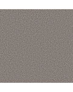 Shaw REMIXED CLASSIC Mineral Carpet - SH-5E679-00522