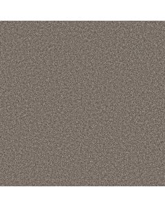 Shaw REMIXED CLASSIC Nature Trail Carpet - SH-5E679-00700
