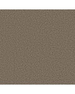 Shaw REMIXED CLASSIC Dry Creek Carpet - SH-5E679-00715