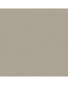 Shaw STONEBROOK Crescent Moon Carpet - SH-5E682-00101