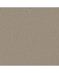 Shaw STONEBROOK Basketry Carpet - SH-5E682-00104