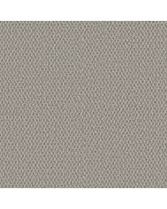 Shaw STONEBROOK Wool Mix Carpet - SH-5E682-00106