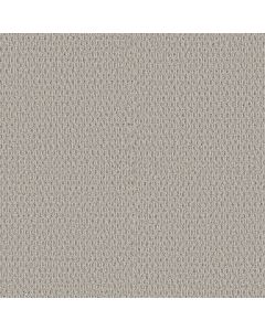 Shaw STONEBROOK Sand Fossil Carpet - SH-5E682-00120