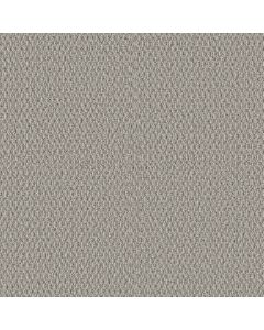 Shaw STONEBROOK Pewter Carpet - SH-5E682-00500