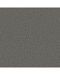 Shaw STONEBROOK Night Fall Carpet - SH-5E682-00502