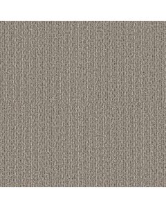 Shaw STONEBROOK Weathered Wood Carpet - SH-5E682-00700