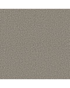 Shaw STONEBROOK Fieldstone Carpet - SH-5E682-00701