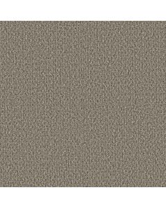 Shaw STONEBROOK Walnut Grove Carpet - SH-5E682-00702