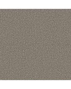 Shaw STONEBROOK Creek Bed Carpet - SH-5E682-00704