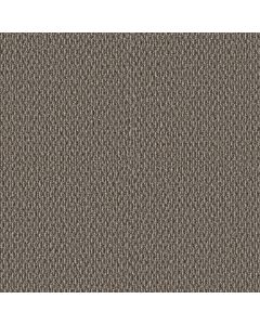 Shaw STONEBROOK Outer Banks Carpet - SH-5E682-00706