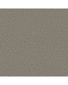 Shaw STONEBROOK Natures Design Carpet - SH-5E682-00707